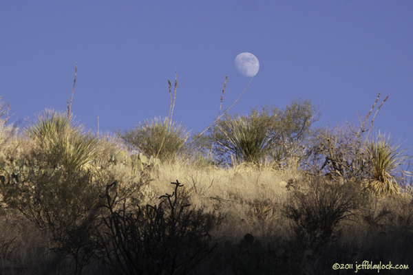 Moonrise From Fresno Creek ©2011 Jeff Blaylock